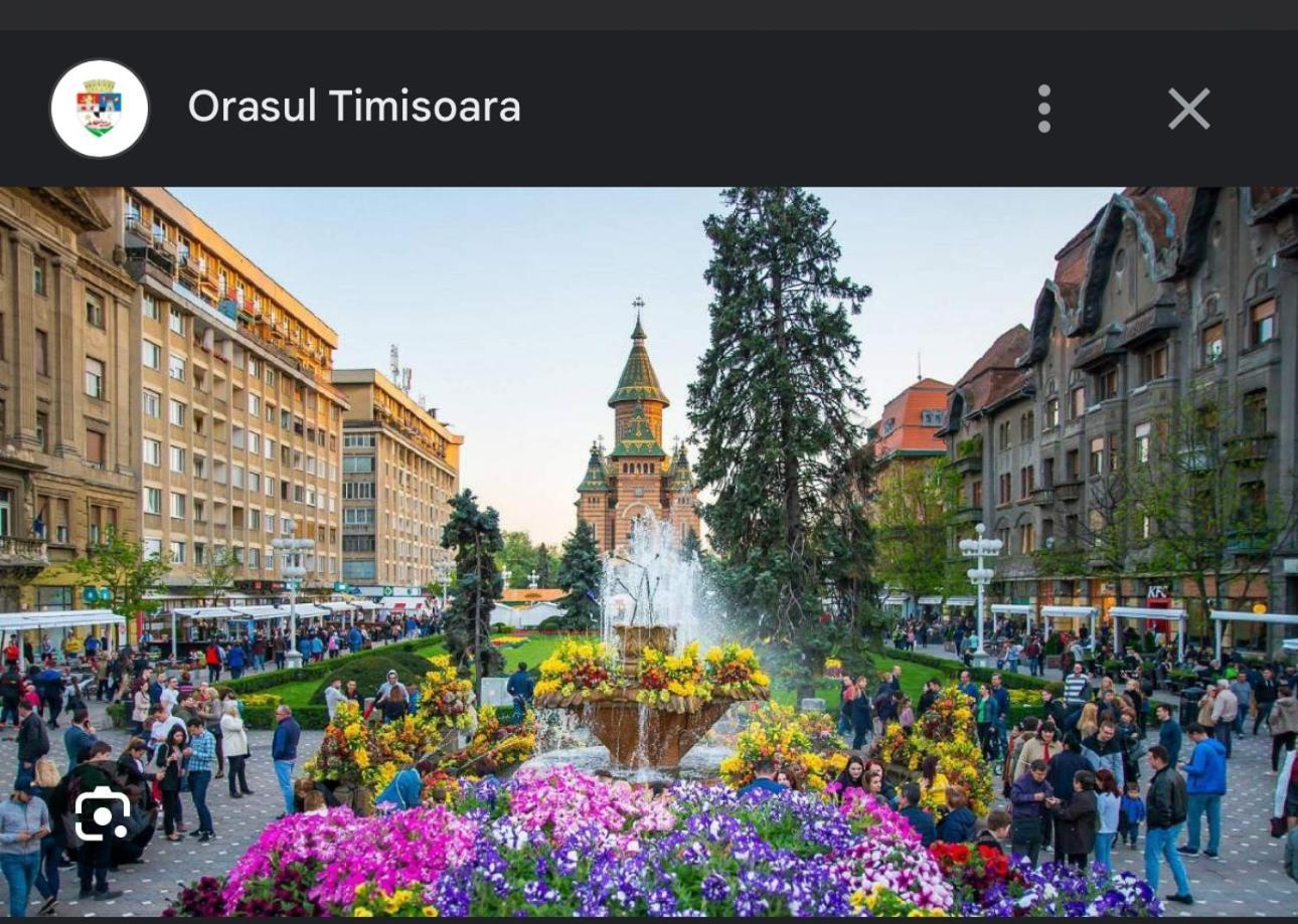 Apartament Lux Crialy - 75 M2 - Free Parking Timişoara Eksteriør bilde
